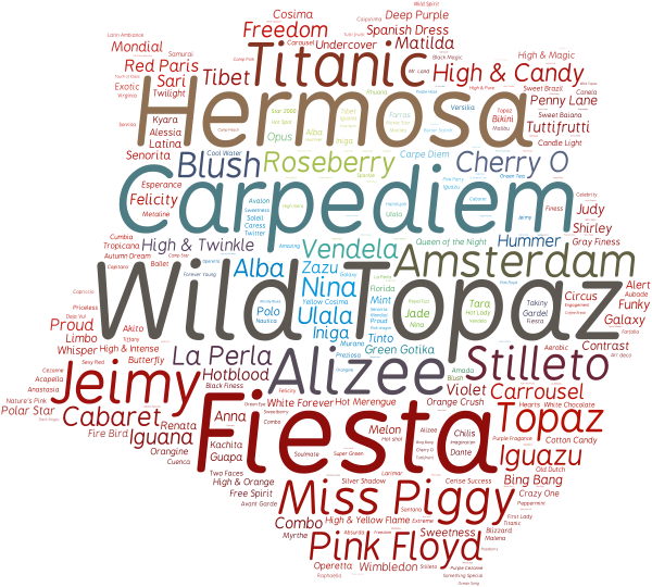 Global Petals Varieties